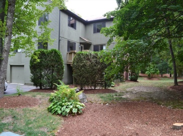 53 Treetop Park, Westborough, Massachusetts, 2 Bedrooms Bedrooms, 5 Rooms Rooms,1.5 BathroomsBathrooms,Residential Lease,For Rent,Treetop Park,73422106