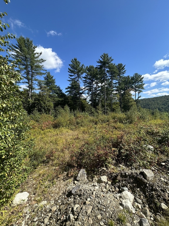 Lot 5, 205 Upper Church St, Ware, Massachusetts, ,Land,For Sale,Upper Church St,73430572