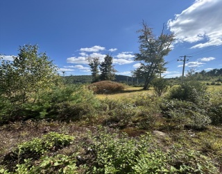 Lot 4, 205 Upper Church St, Ware, Massachusetts, ,Land,For Sale,Upper Church St,73430573