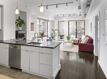 257 Northampton, Boston, Massachusetts, 2 Bedrooms Bedrooms, 4 Rooms Rooms,1.5 BathroomsBathrooms,Residential,For Sale,Northampton,73356537 257 Northampton, Boston, Massachusetts, 2 Bedrooms Bedrooms, 4 Rooms Rooms,1.5 BathroomsBathrooms,Residential,For Sale,Northampton,73356537