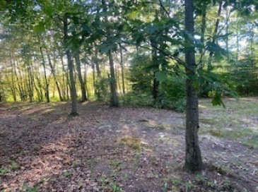 86 Union St, Easton, Massachusetts, ,Land,For Sale,Union St,73432386