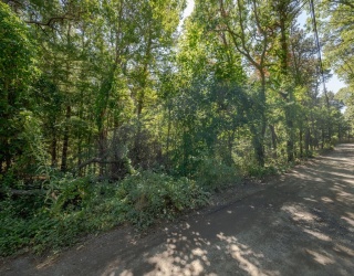 40 Old Long Pond Rd, Wellfleet, Massachusetts, ,Land,For Sale,Old Long Pond Rd,73432685