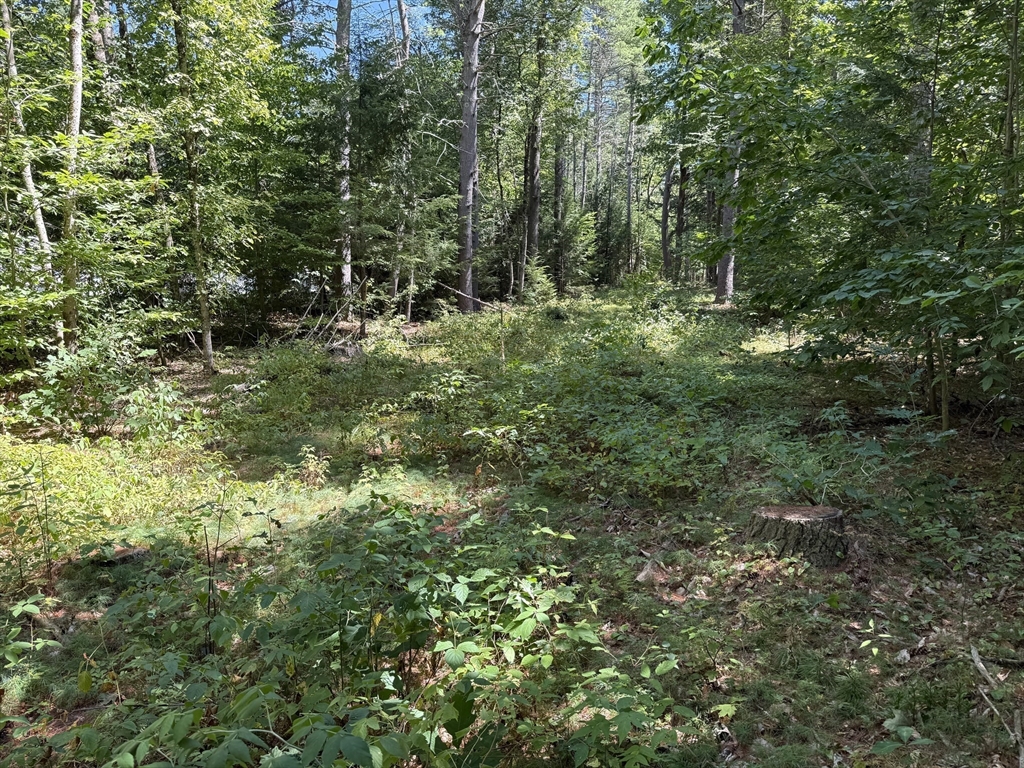 0 Old Keene Rd, Athol, Massachusetts, ,Land,For Sale,Old Keene Rd,73337485