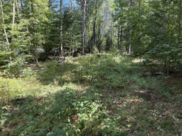 0 Old Keene Rd, Athol, Massachusetts, ,Land,For Sale,Old Keene Rd,73337485