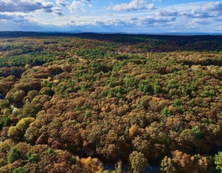 90 Corn Road, Bolton, Massachusetts, ,Land,For Sale,Corn Road,73433456