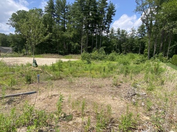 11 Silvergrass Lane, Southwick, Massachusetts, ,Land,For Sale,Silvergrass Lane,73394680