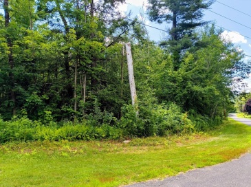 00 Fritz Road, Worthington, Massachusetts, ,Land,For Sale,Fritz Road,73406646