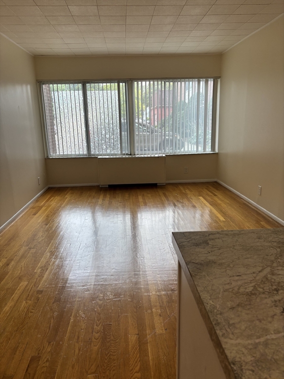 22 Chestnut Place, Brookline, Massachusetts, 1 Bedroom Bedrooms, 1 Room Rooms,1 BathroomBathrooms,Residential Lease,For Rent,Chestnut Place,73412631