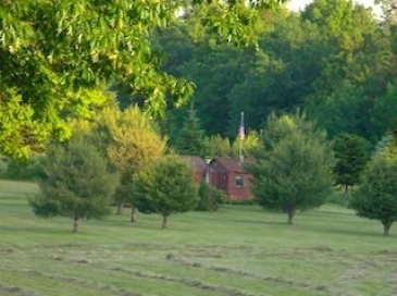 0 Gibbs Rd, Blandford, Massachusetts, ,Land,For Sale,Gibbs Rd,73383160