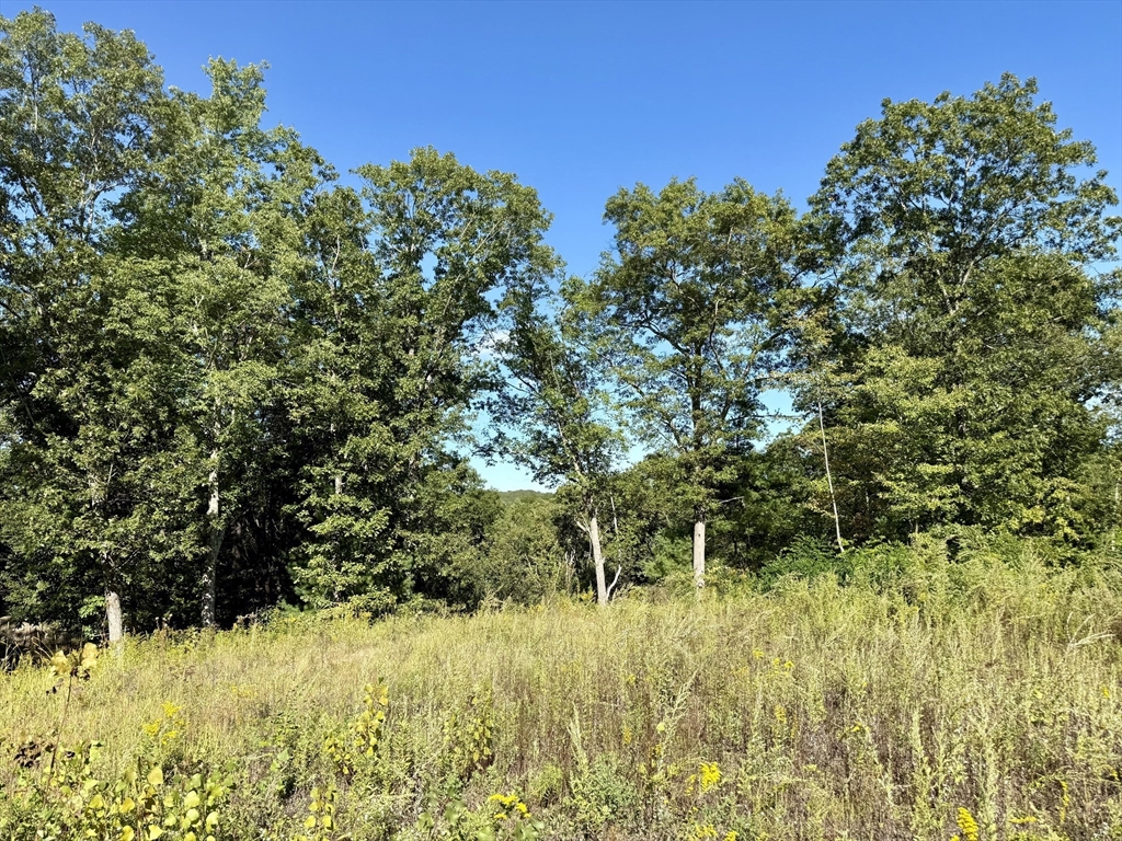 25 Nature Vw Dr, Wrentham, Massachusetts, ,Land,For Sale,Nature Vw Dr,73439602