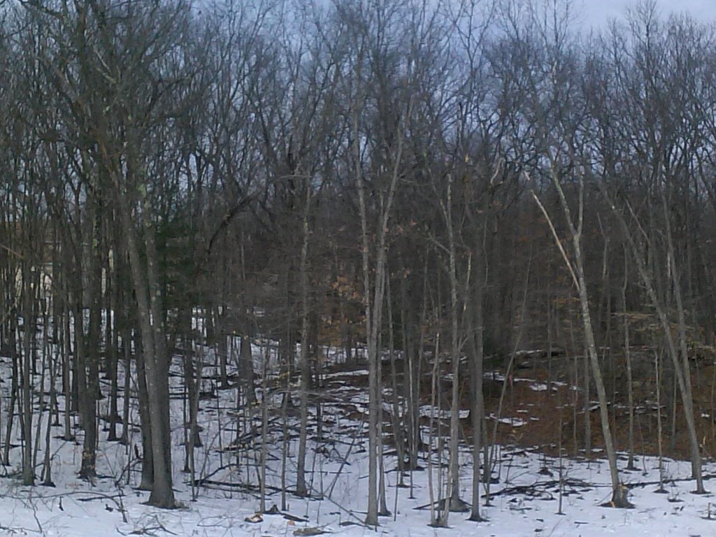 0 Silver St, Agawam, Massachusetts, ,Land,For Sale,Silver St,73165657