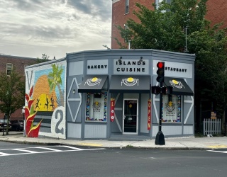 554 Dudley, Boston, Massachusetts, ,Commercial Sale,For Sale,Dudley,73440414