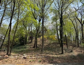 29 Rockland St, Wellesley, Massachusetts, ,Land,For Sale,Rockland St,73440459