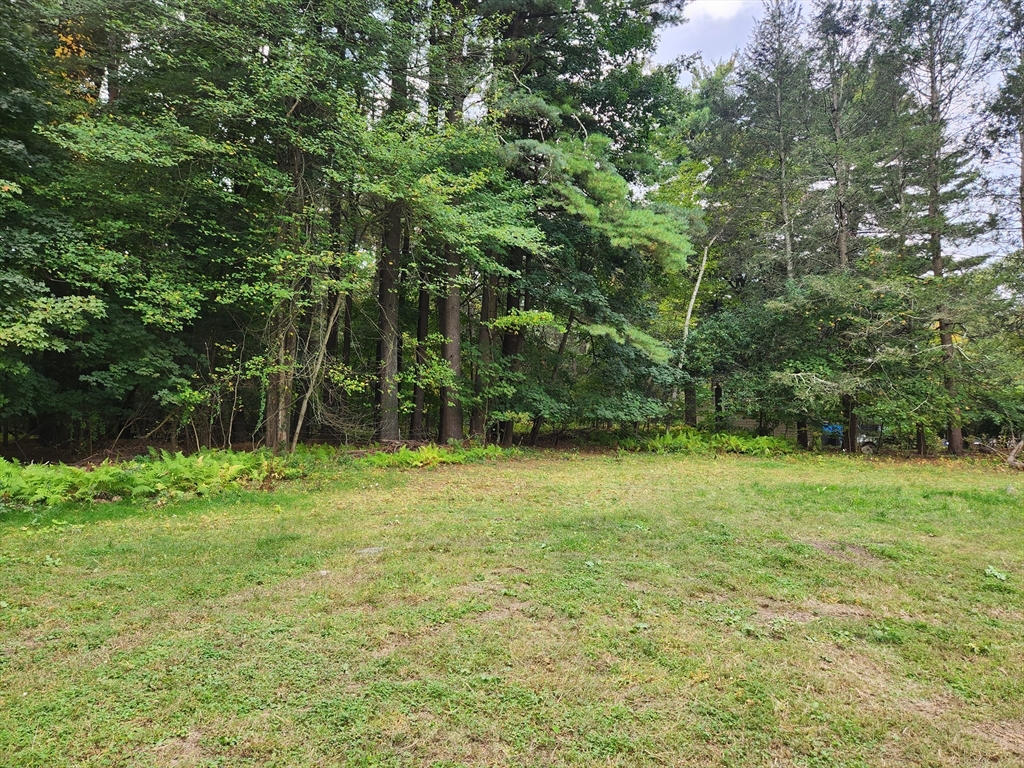 0 Chestnut St, East Longmeadow, Massachusetts, ,Land,For Sale,Chestnut St,73441598