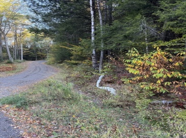 0 Northfield Rd, Warwick, Massachusetts, ,Land,For Sale,Northfield Rd,73441997