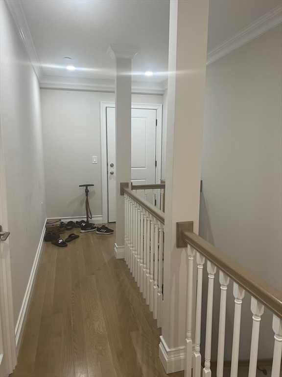 14 Mount Hood Road, Boston, Massachusetts, 3 Bedrooms Bedrooms, 5 Rooms Rooms,2 BathroomsBathrooms,Residential Lease,For Rent,Mount Hood Road,73336125