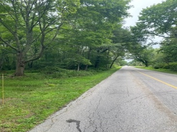 505 Long Highway, Little Compton, Rhode Island, ,Land,For Sale,Long Highway,73402157