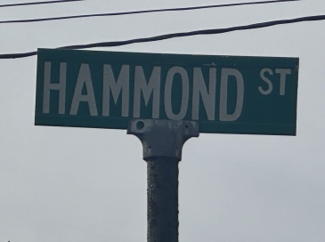 Lot 1 Hammond Street, Bridgewater, Massachusetts, ,Land,For Sale,Hammond Street,73427335