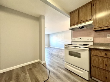 7 Old Colony Lane, Arlington, Massachusetts, 2 Rooms Rooms,1 BathroomBathrooms,Residential Lease,For Rent,Old Colony Lane,73444794