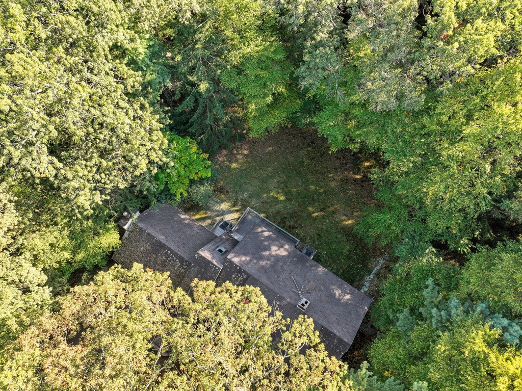 41 Orchard Avenue, Weston, Massachusetts, ,Land,For Sale,Orchard Avenue,73444782