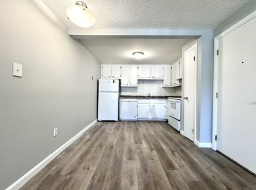 1 Old Colony Ln, Arlington, Massachusetts, 2 Bedrooms Bedrooms, 4 Rooms Rooms,1 BathroomBathrooms,Residential Lease,For Rent,Old Colony Ln,73444804