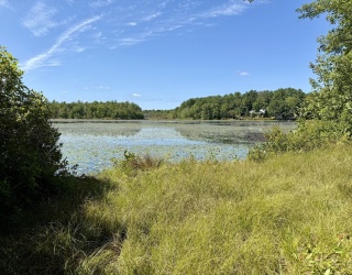 0 King Rd, Athol, Massachusetts, ,Land,For Sale,King Rd,73428895