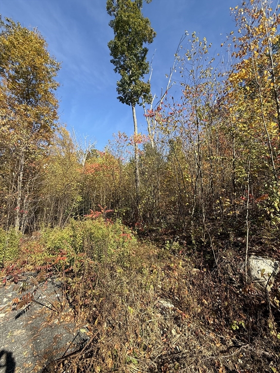 Lot 1 Amherst Rd., Belchertown, Massachusetts, ,Land,For Sale,Amherst Rd.,73445288
