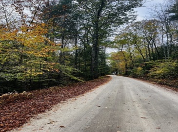 Map 408 39-1 Bullock Road, Richmond, New Hampshire, ,Land,For Sale,39-1 Bullock Road,73445342