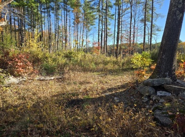 Lots 25-27 Dennison Lane, Southbridge, Massachusetts, ,Land,For Sale,Dennison Lane,73445928