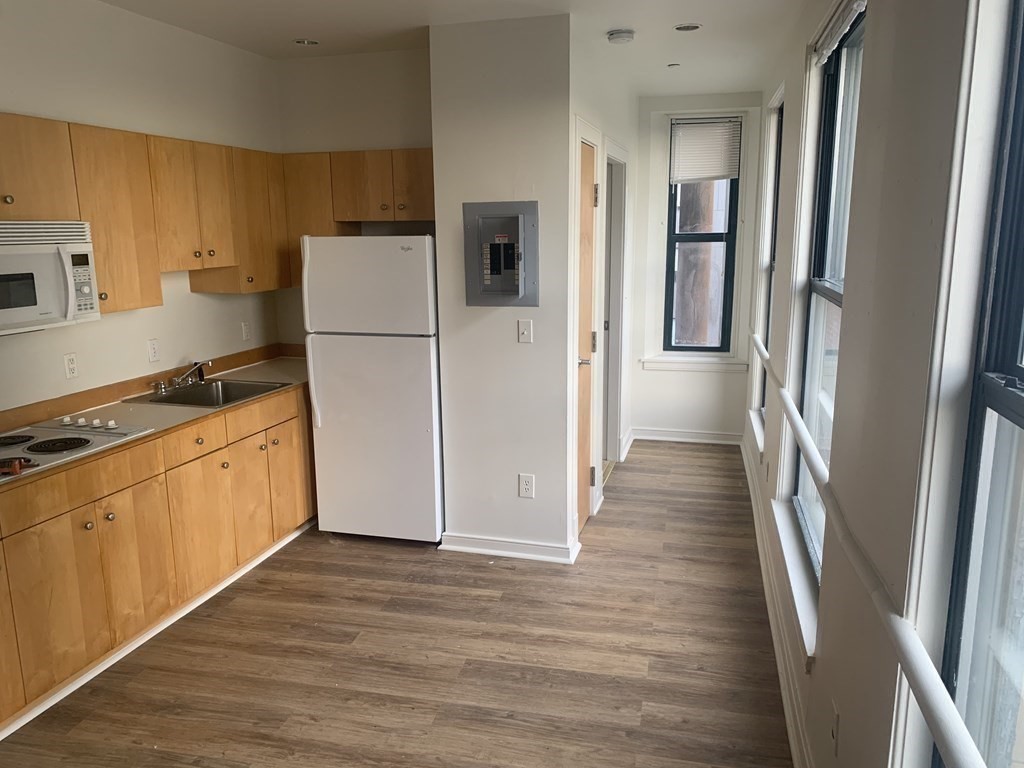 131 Tremont Street, Boston, Massachusetts, 1 Room Rooms,1 BathroomBathrooms,Residential Lease,For Rent,Tremont Street,73395462
