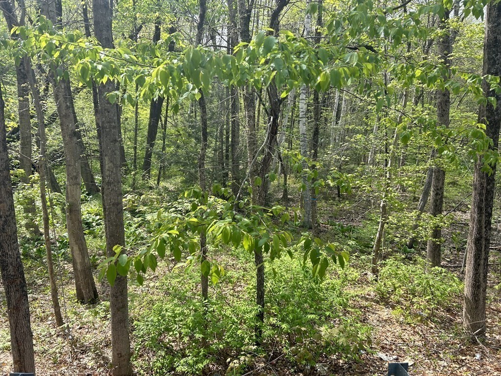 0 Parker Rd, Lancaster, Massachusetts, ,Land,For Sale,Parker Rd,73446586