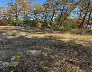 Lot 2 Birch St, Leominster, Massachusetts, ,Land,For Sale,Birch St,73446951