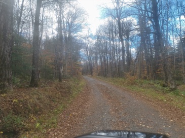 lot 16 Pierce Road, Peru, Massachusetts, ,Land,For Sale,Pierce Road,73447333