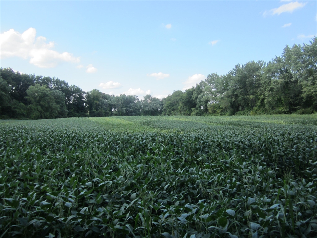 0 Little River Road ( Rear ), Westfield, Massachusetts, ,Land,For Sale,Little River Road ( Rear ),73430855