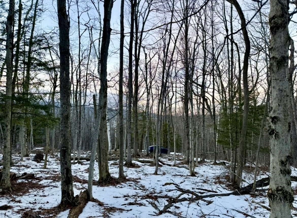 0 East Hoosac St, Adams, Massachusetts, ,Land,For Sale,East Hoosac St,73448736