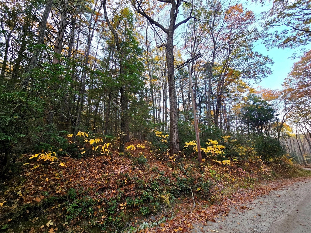 0 Cooleyville Rd, Shutesbury, Massachusetts, ,Land,For Sale,Cooleyville Rd,73448817