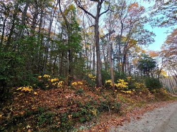 0 Cooleyville Rd, Shutesbury, Massachusetts, ,Land,For Sale,Cooleyville Rd,73448817