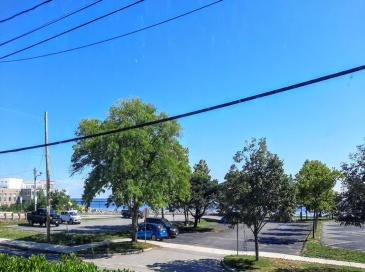 204 Water St., Plymouth, Massachusetts, 1 Bedroom Bedrooms, 3 Rooms Rooms,1 BathroomBathrooms,Residential Lease,For Rent,Water St.,73429740