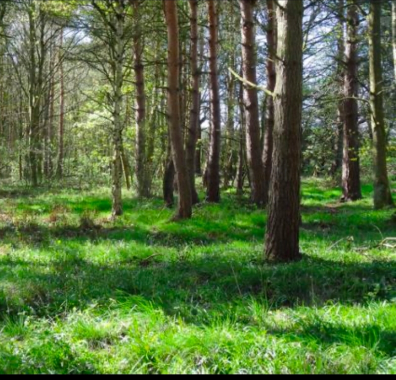 LOT 2 Winterberry Ln, Easton, Massachusetts, ,Land,For Sale,Winterberry Ln,73450409