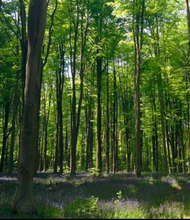 LOT 1 Winterberry Ln, Easton, Massachusetts, ,Land,For Sale,Winterberry Ln,73450412