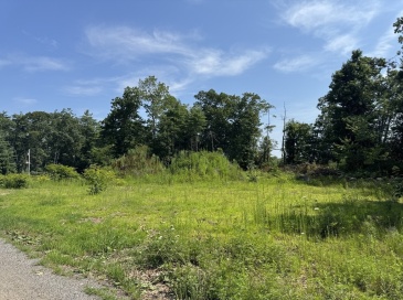 91 Snow St, Hanson, Massachusetts, ,Land,For Sale,Snow St,73409523