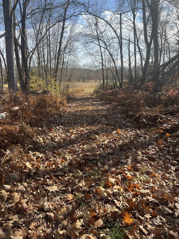 Lot 7 N Liberty St, Belchertown, Massachusetts, ,Land,For Sale,N Liberty St,73308755