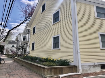 454 Franklin Street, Cambridge, Massachusetts, 2 Bedrooms Bedrooms, 4 Rooms Rooms,1.5 BathroomsBathrooms,Residential Lease,For Rent,Franklin Street,73377708