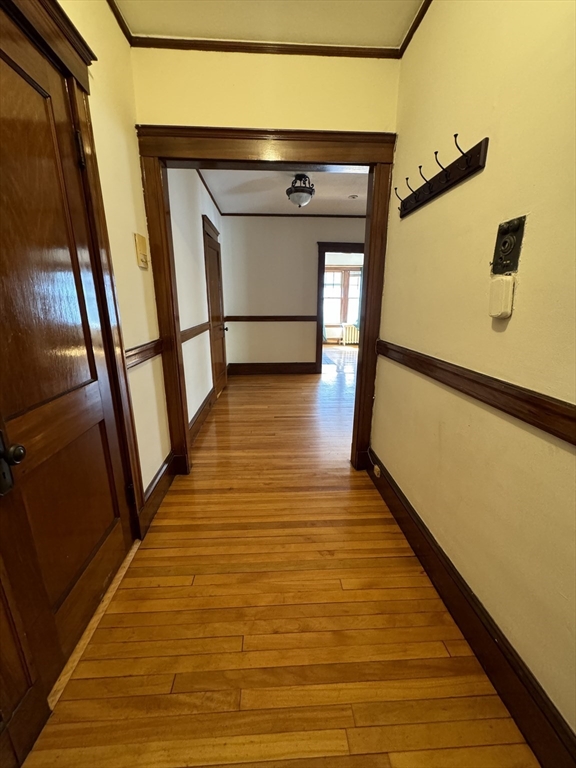 13 Story Street, Cambridge, Massachusetts, 1 Bedroom Bedrooms, 3 Rooms Rooms,1 BathroomBathrooms,Residential Lease,For Rent,Story Street,73326335