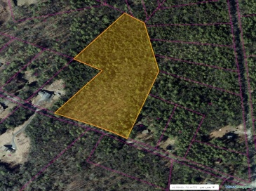 Lot 1 Willis Rd, Phillipston, Massachusetts, ,Land,For Sale,Willis Rd,73323940