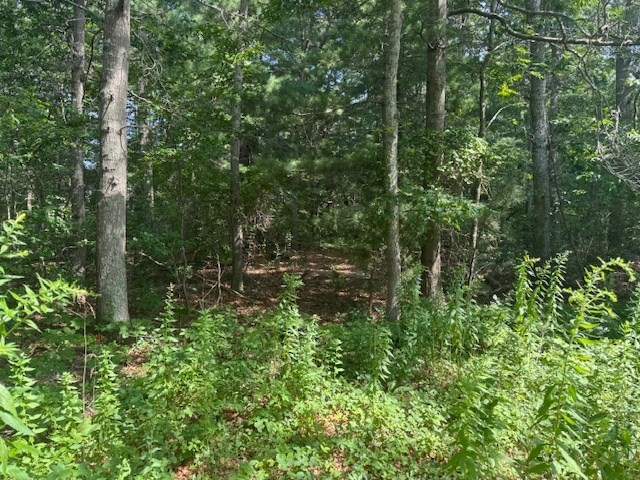 9 Estrella Lane, Falmouth, Massachusetts, ,Land,For Sale,Estrella Lane,73410021