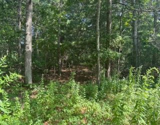 9 Estrella Lane, Falmouth, Massachusetts, ,Land,For Sale,Estrella Lane,73410021