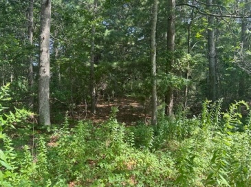 9 Estrella Lane, Falmouth, Massachusetts, ,Land,For Sale,Estrella Lane,73410021