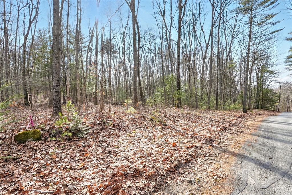 0 Atherton Road, Gill, Massachusetts, ,Land,For Sale,Atherton Road,73424917