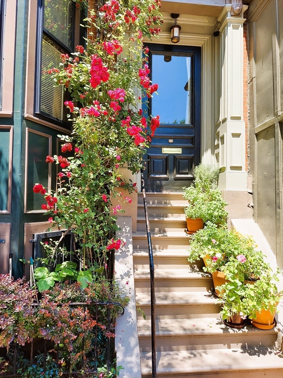 133 Appleton, Boston, Massachusetts, 1 Bedroom Bedrooms, 3 Rooms Rooms,1 BathroomBathrooms,Residential Lease,For Rent,Appleton,73405326